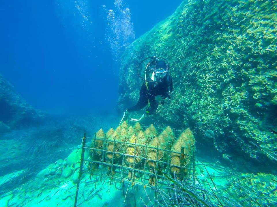 What to do on Peljesac, combine love of wine with scuba diving